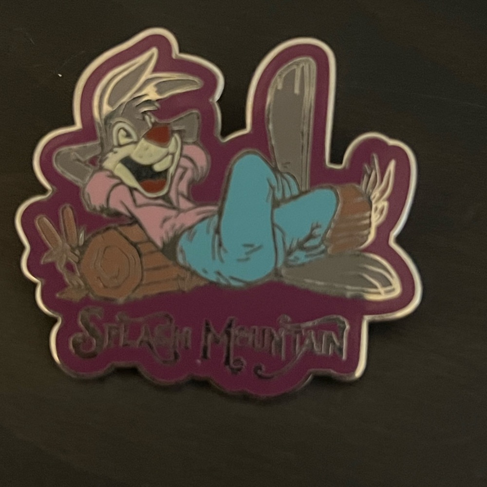 Disney Splash Mountain Pin